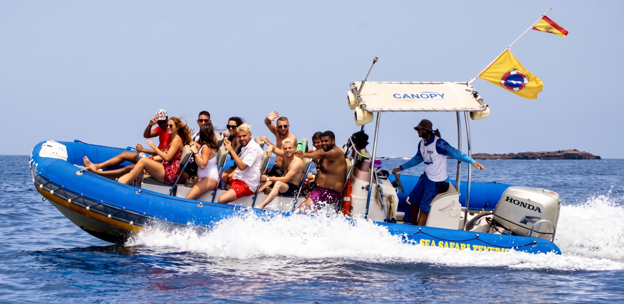 Sea Safari Delfines y Ballenas